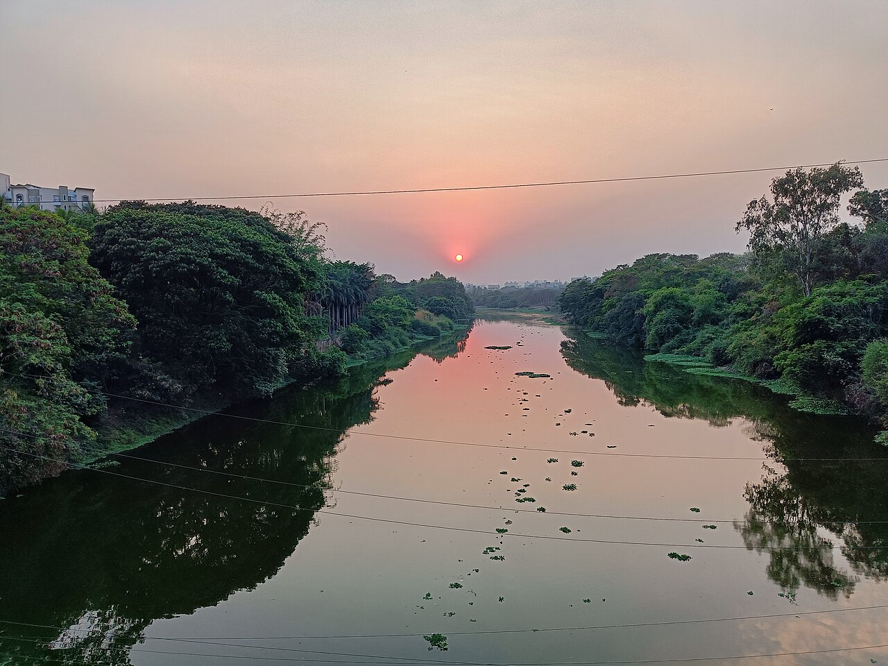 The Mula river at dusk between wooded banks, seen from Shinde Bridge