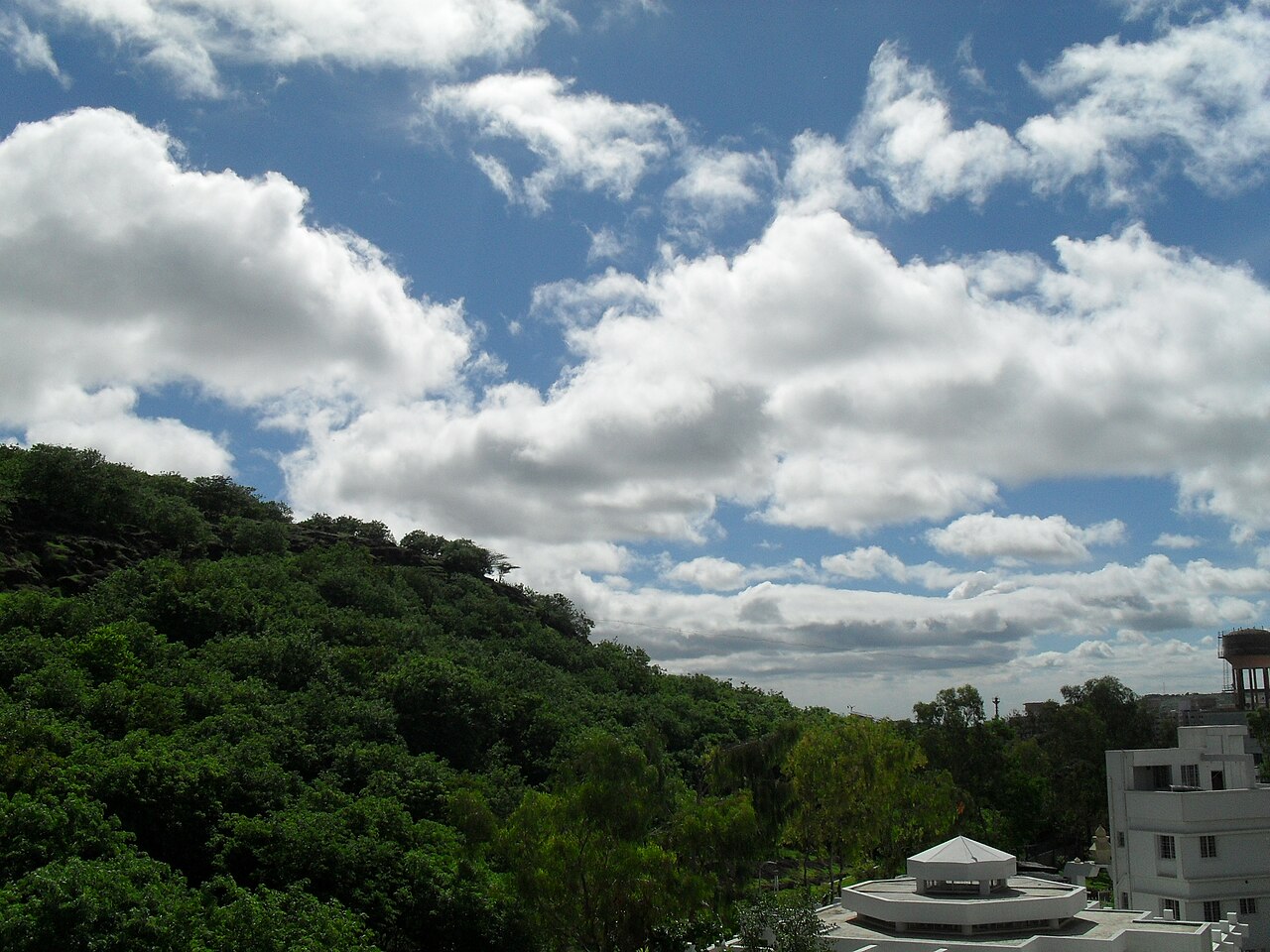 The wooded slope of Baner hill under a cloudy sky